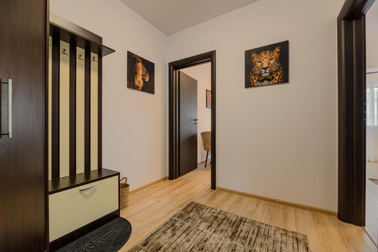 براشوف Zen Apartments المظهر الخارجي الصورة